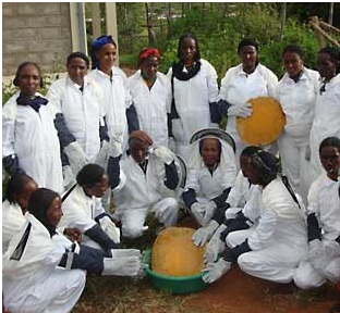 new honey producers.jpg
